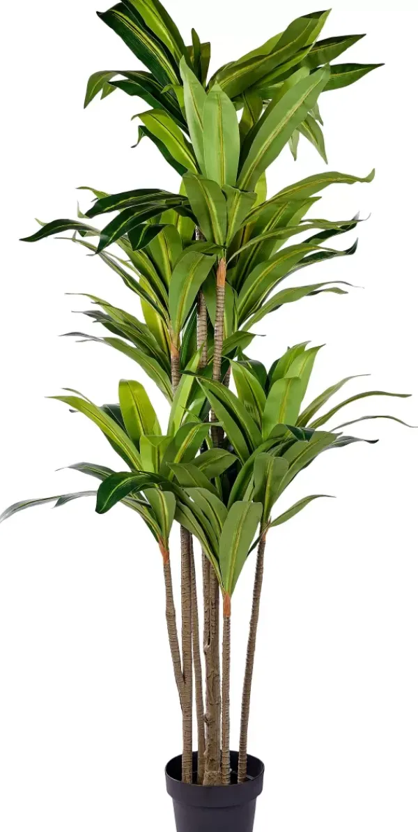 Plantas Artificiais-CASA Brazi Planta Verde