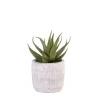 Plantas Artificiais-CASA Cement Planta Artificial Cinzento