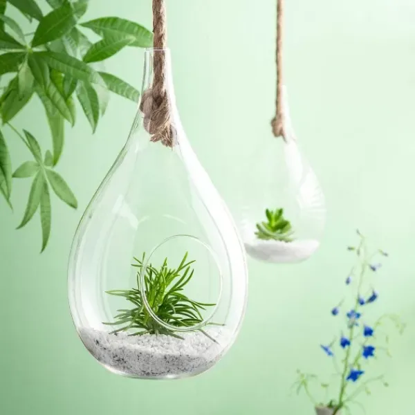 Vasos Para Pendurar-CASA Drop Gota De Vidro Transparente