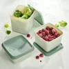 Caixas De Alimentos-CASA Freezer 10 Caixas Para Congelador Menta, Verde Escuro