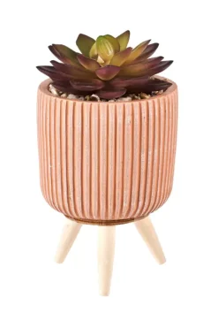 Plantas Artificiais-CASA Stripe Cr Ssula Artificial Em Pote Multicolor