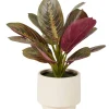Plantas Artificiais-CASA Zebrina Planta Artificial